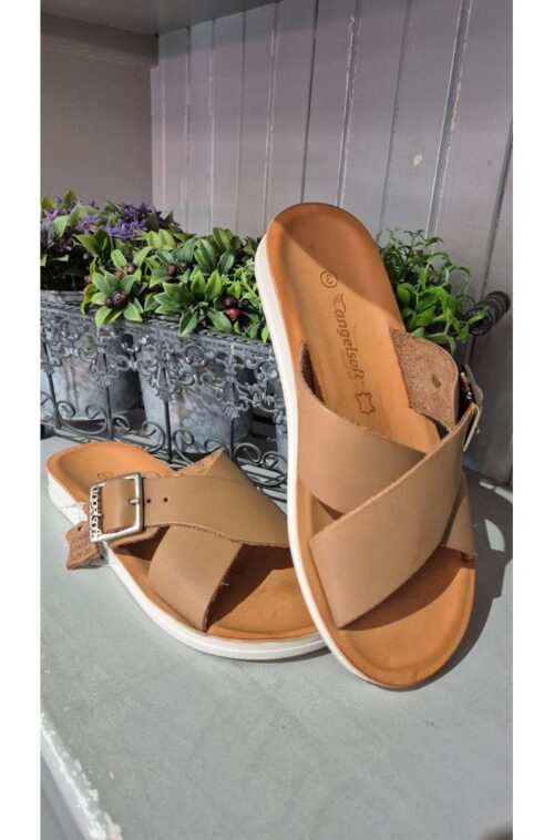 img-20251219-wa0015. ANG ROXY TAN HONEY