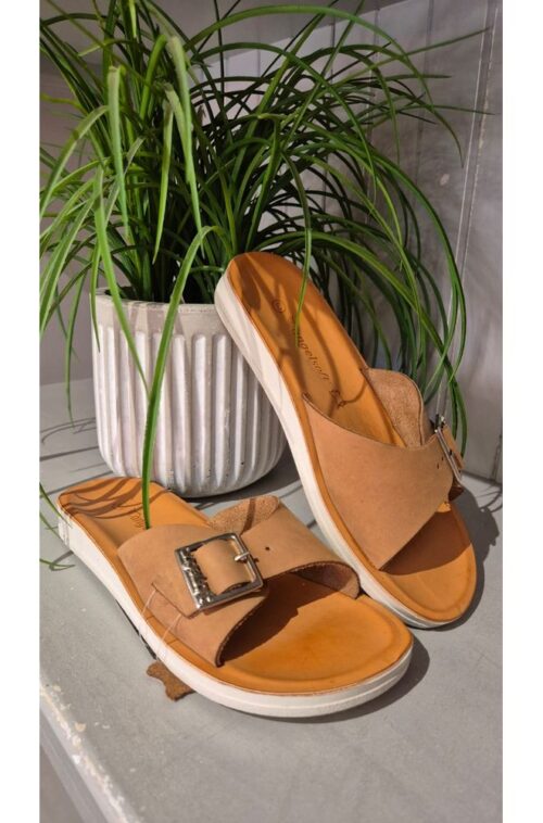 img-20251219-wa0016. ANG ANNA TAN NUBUCK