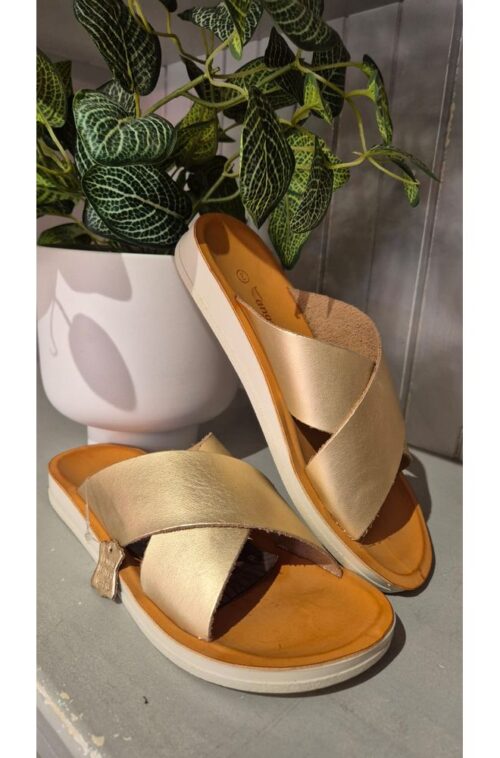 img-20251219-wa0012. ANG CHLOE GOLD METALLIC