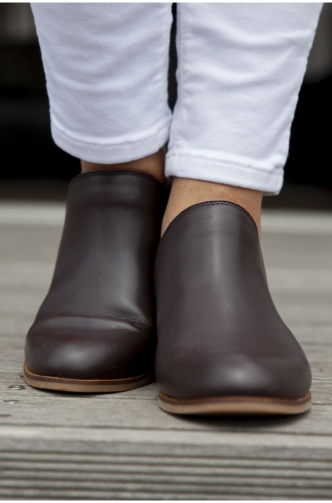2 (31). J ARIA CHESTNUT